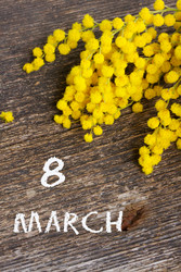 Similar image 13039306