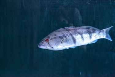 Similar image 13051099