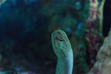 Similar image 13051117