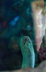 Similar image 13051118