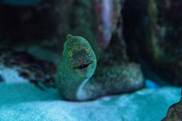 Similar image 13051134