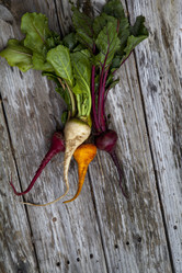 Similar image 13051136