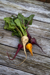 Similar image 13051414