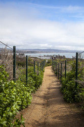 Similar image 13051154