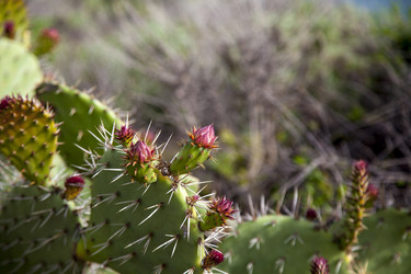 Similar image 13051477