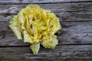 Similar image 13051199