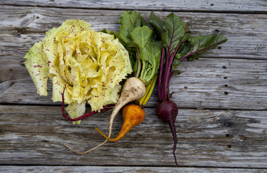 Similar image 13051517