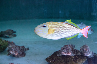 Similar image 13051591