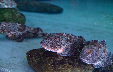 Similar image 13051240