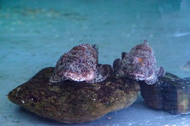 Similar image 13051259