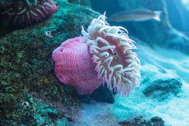 Similar image 13051260