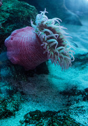 Similar image 13051615