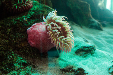 Similar image 13051616