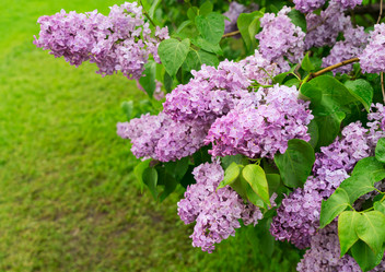 Similar image 13038607