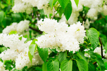 Similar image 13038801