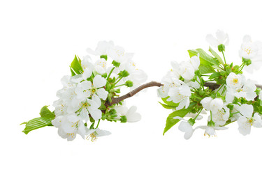 Similar image 13038628