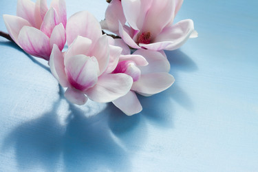 Similar image 13038979