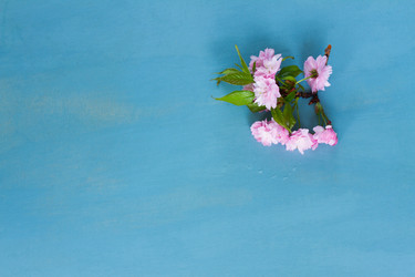 Similar image 13046143