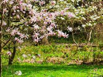 Similar image 13017049