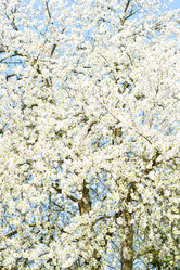 Similar image 13017050