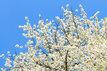 Similar image 13017071