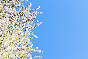 Similar image 13017072