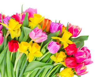 Similar image 13023422