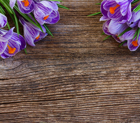 Similar image 13039287