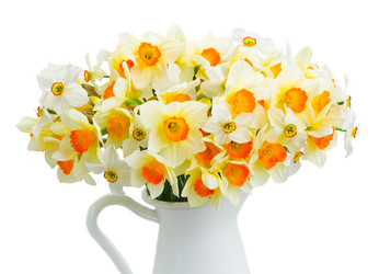 Similar image 13046082