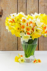 Similar image 13046119