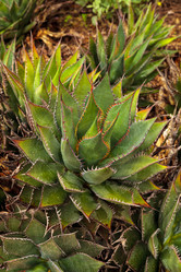 Similar image 13051436