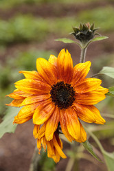 Similar image 13051758