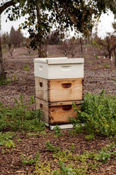 Similar image 13051729