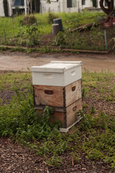 Similar image 13051731