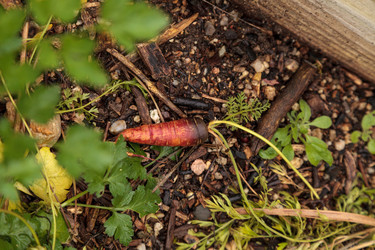 Similar image 13051778