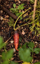 Similar image 13051372