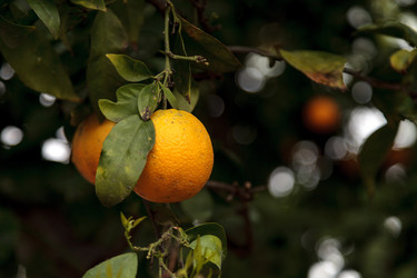 Similar image 13051373