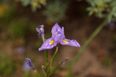 Similar image 13051809