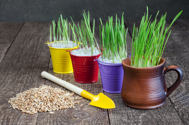 Similar image 13045191