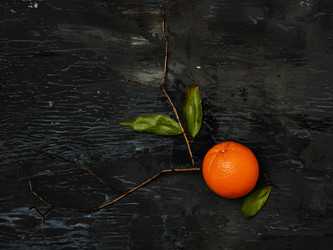 Similar image 13037935