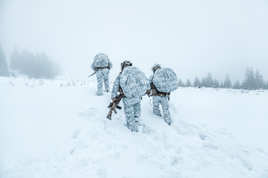 Similar image 13060401