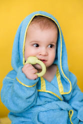 Similar image 13001519