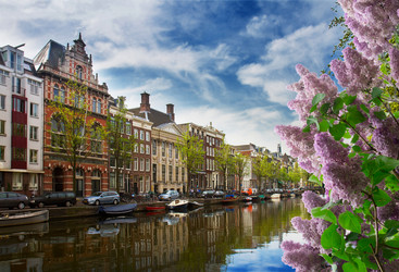 Similar image 13045883