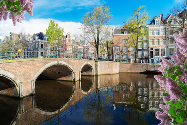 Similar image 13046083