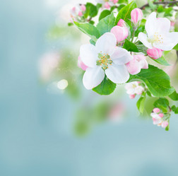 Similar image 13038464