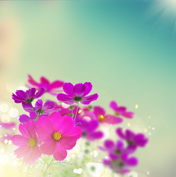 Similar image 13038581