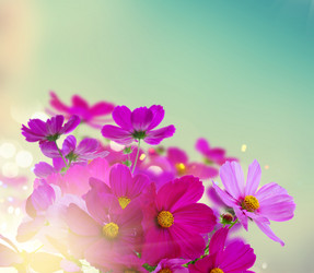 Similar image 13038825