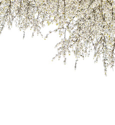 Similar image 13038844