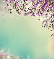 Similar image 13038883