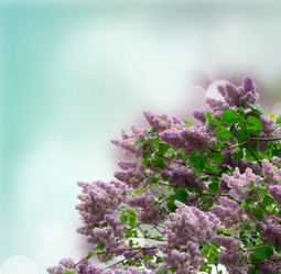 Similar image 13040185